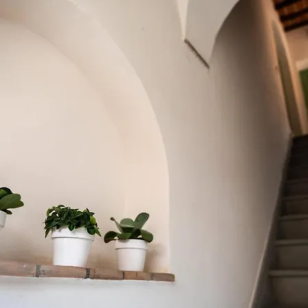 Lei Luxury Apartment San Miniato